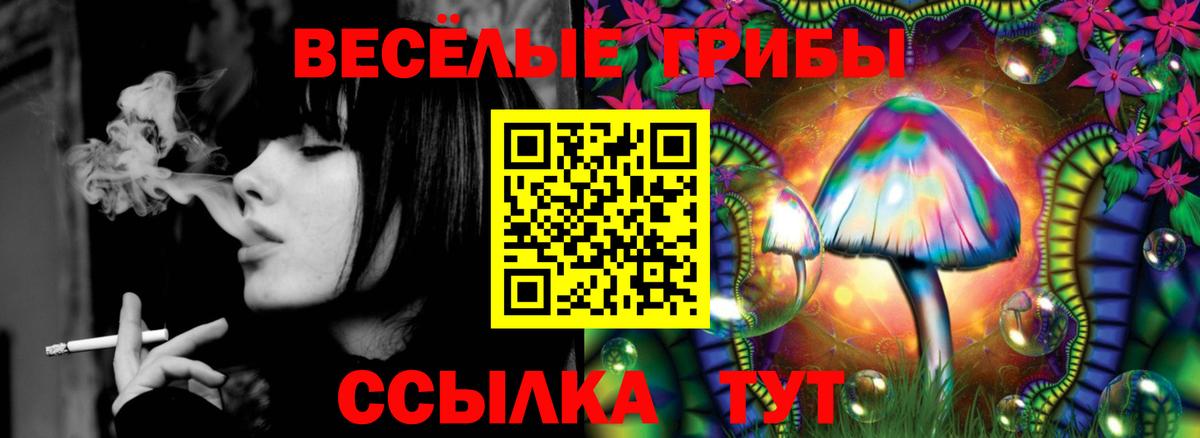 Псилоцибиновые грибы MAGIC MUSHROOMS  Вход с VPN  Стрежевой 